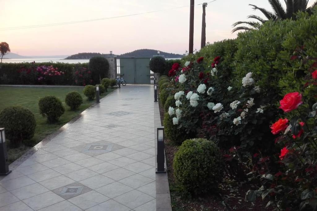 דרוסיה Ebony And Ivory Suites מראה חיצוני תמונה